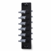 MTP Black - MTP 6-Position Adapter Plate loaded with Simplex Adapters (Black), Black